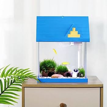 Amazon | 水族館セット、リビングルーム水族館、ガラス水槽